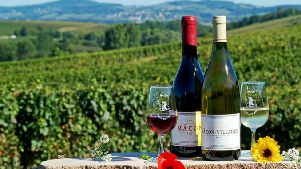 What is the difference between burgundy and claret wine?